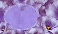 Floral purple background. Flowers  and petals of purple roses. Place for text. Close-up. Royalty Free Stock Photo