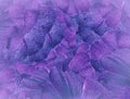 Floral purple-blue halftone background. A bouquet of purple petals flowers. Close-up. floral collage. Flower composition. Royalty Free Stock Photo