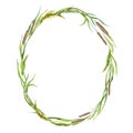 Floral realistic grass wreath. Watercolor hand drawn illustration. Botanical wreath from meadow flowers. Grass spikelet