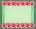 Floral rectangular frame with tulle background Royalty Free Stock Photo