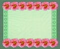 Floral rectangular frame with tulle background Royalty Free Stock Photo