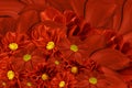 Floral red background of flowers of dahlia. Bright flower arrangement. A bouquet of red dahlias.