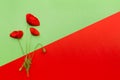 Floral red green card