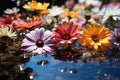 Floral reflections vibrant blossoms on rippled pond, outdoor session images