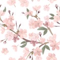 Floral retro seamless pattern, cherry or sakura flowers background, pastel vintage illustration Royalty Free Stock Photo