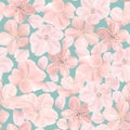 Floral seamless pattern, cherry or sakura flowers