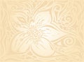 Floral Retro wedding pale peach wedding background design