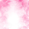 Floral romantic tender pink background.
