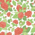 Floral roses vector seamless pattern background