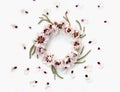 Floral round crown wreath with flowers and leaves. Royalty Free Stock Photo