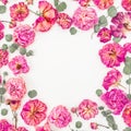 Floral round frame with pink roses and eucalyptus isolated on white background, Flat lay, Top view Royalty Free Stock Photo