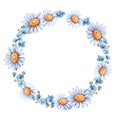 Floral round frame wild flowers, wreath, chamomile, forget-me-not, bluebell, calendula. Hand drawn watercolor