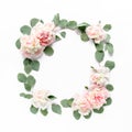 Floral round frame wreath made of pink and beige peonies flower buds, eucalyptus branches and leaves isolated on white Royalty Free Stock Photo