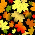 Floral seamless autumn pattern Royalty Free Stock Photo