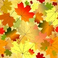 Floral seamless autumn pattern Royalty Free Stock Photo