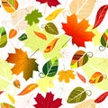 Floral seamless autumn pattern Royalty Free Stock Photo