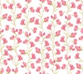 Floral seamless background. gentle flower pattern. Royalty Free Stock Photo