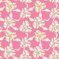 Floral seamless background. gentle flower pattern. Royalty Free Stock Photo