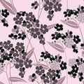 Floral seamless background. gentle flower pattern. Royalty Free Stock Photo