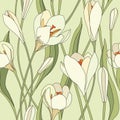 Floral seamless background. gentle flower pattern. Royalty Free Stock Photo