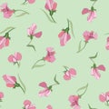 Floral seamless background from lilac flowers