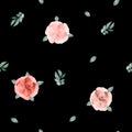 Floral seamless background. Pink and red flowers and petals, green leaves on a black background. Watercolor illustration. Royalty Free Stock Photo
