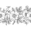 Floral seamless border, line art drawing. Wild rose flowers and berries design template. Rose hip vector illustration Royalty Free Stock Photo