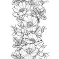 Floral seamless border, line art drawing. Wild rose flowers and berries design template. Rosehip vector illustration Royalty Free Stock Photo