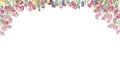 Floral seamless horizontal border with pink flowers, green leaves and plants, tulips. Watercolor pattern on a white background Royalty Free Stock Photo