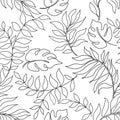 Floral seamless line art pattern. Branch with leaves ornamental outline texture. Flourish nature summer garden textured background Royalty Free Stock Photo