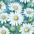 Floral seamless nature spring background design summer white wallpaper daisy chamomile flower Royalty Free Stock Photo