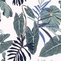 Floral Seamless Pattern, Alocasia  Plant, Blue Palm Leaves, Vintage Background.