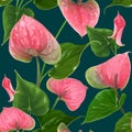 Floral seamless pattern with Anthurium flowers and leaves on a dark background