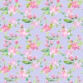 Floral seamless pattern with apple flowers and buds.