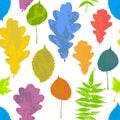 Floral seamless pattern with autumn grunge yellow, red, orange, green, blue tree leaves on white background. Maple, Elm, Oak Royalty Free Stock Photo