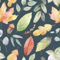Floral seamless pattern with autumn leaves and flowers Royalty Free Stock Photo