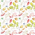 Floral seamless pattern of a autumn leaves,rowan , buckthorn,cowberry,euonymus .
