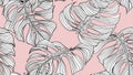 Floral seamless pattern, black and white split-leaf Philodendron plant on pink, line art ink drawing