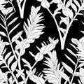 Floral seamless pattern, black and white split-leaf Zamioculcas plant