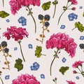 Floral seamless pattern with blooming geraniums