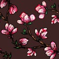 Floral seamless pattern. Blooming magnolia on a dark background. Print for fabric and other surfaces. Raster illustration Royalty Free Stock Photo