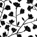 Floral Seamless pattern. Blooming magnolia isolated on a white background.