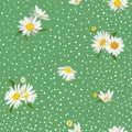 Floral Seamless Pattern with Blossom Daisy Flowers. Fabric Nature Spring Background with Chamomile for Textile, Wallpaper Wrapping Royalty Free Stock Photo