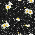 Floral Seamless Pattern with Blossom Daisy Flowers. Fabric Nature Spring Background with Chamomile for Textile, Wallpaper Wrapping Royalty Free Stock Photo