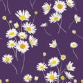 Floral Seamless Pattern with Chamomile Flowers. Natural Background with Daisy Flowers for Spring Summer Design Wallpaper Royalty Free Stock Photo