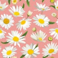 Floral Seamless Pattern with Chamomile Flowers. Natural Background with Daisy Flowers for Spring Summer Design Wallpaper Royalty Free Stock Photo