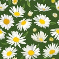 Floral Seamless Pattern with Chamomile Flowers. Natural Background with Daisy Flowers for Spring Summer Design Wallpaper Royalty Free Stock Photo