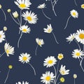 Floral Seamless Pattern with Chamomile Flowers. Natural Background with Daisy Flowers for Spring Summer Design Wallpaper Royalty Free Stock Photo