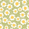 Floral seamless pattern with chamomile and leaves on green background. Spring summer floral print