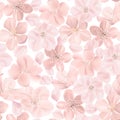 Floral seamless pattern, cherry or sakura flowers Royalty Free Stock Photo